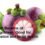 Health Benefits of Mangosteen Good for Digestion and Heart Health