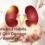 Foods and Habits That Can Damage Your Kidneys